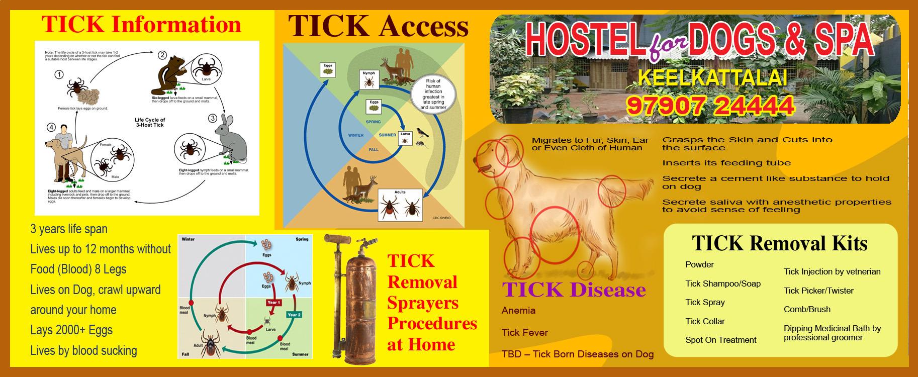 
Tick treatment for dogs
