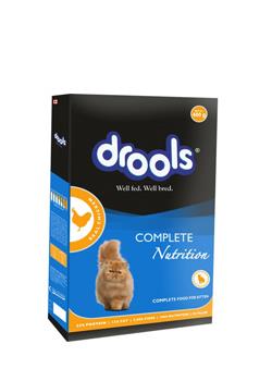 Pet boarding in chennai