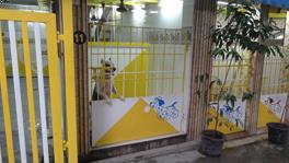 Dog boarding in chennai