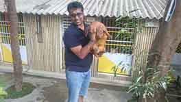 pet care services in chennai