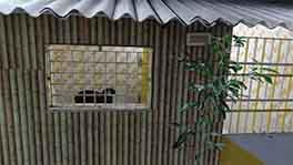 swimming pool for dogs